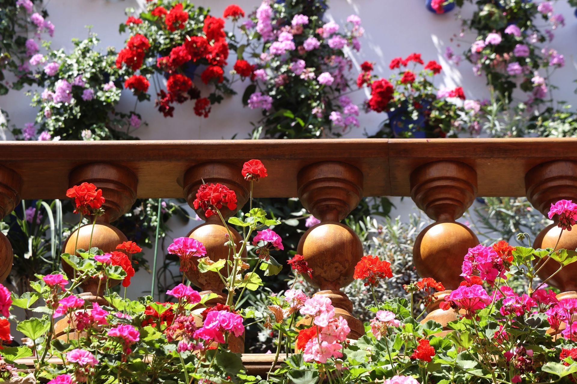 Un paseo por los patios más clásicos de Córdoba, en imágenes