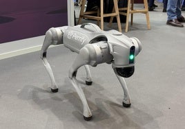 'Perrify', el perro-robot de Córdoba que maravilla a los participantes en la Feria Internacional de Defensa