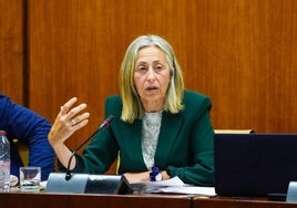 El Servicio Andaluz de Salud resuelve 200.000 solicitudes de Atención Primaria en tres meses gracias al nuevo sistema de gestión de citas