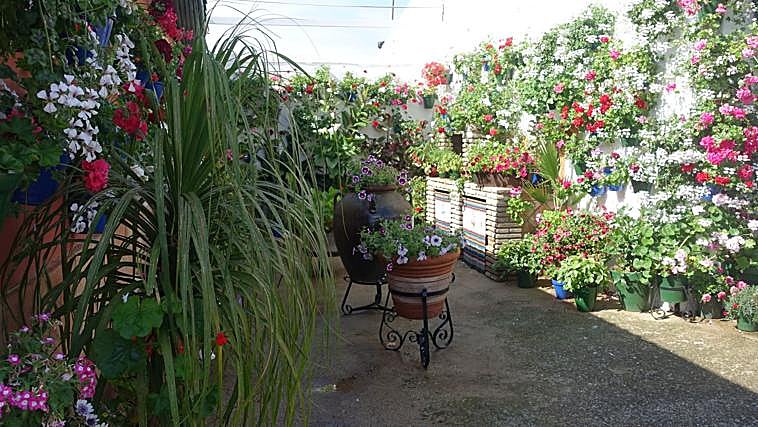 Patio de Céspedes, segundo premio