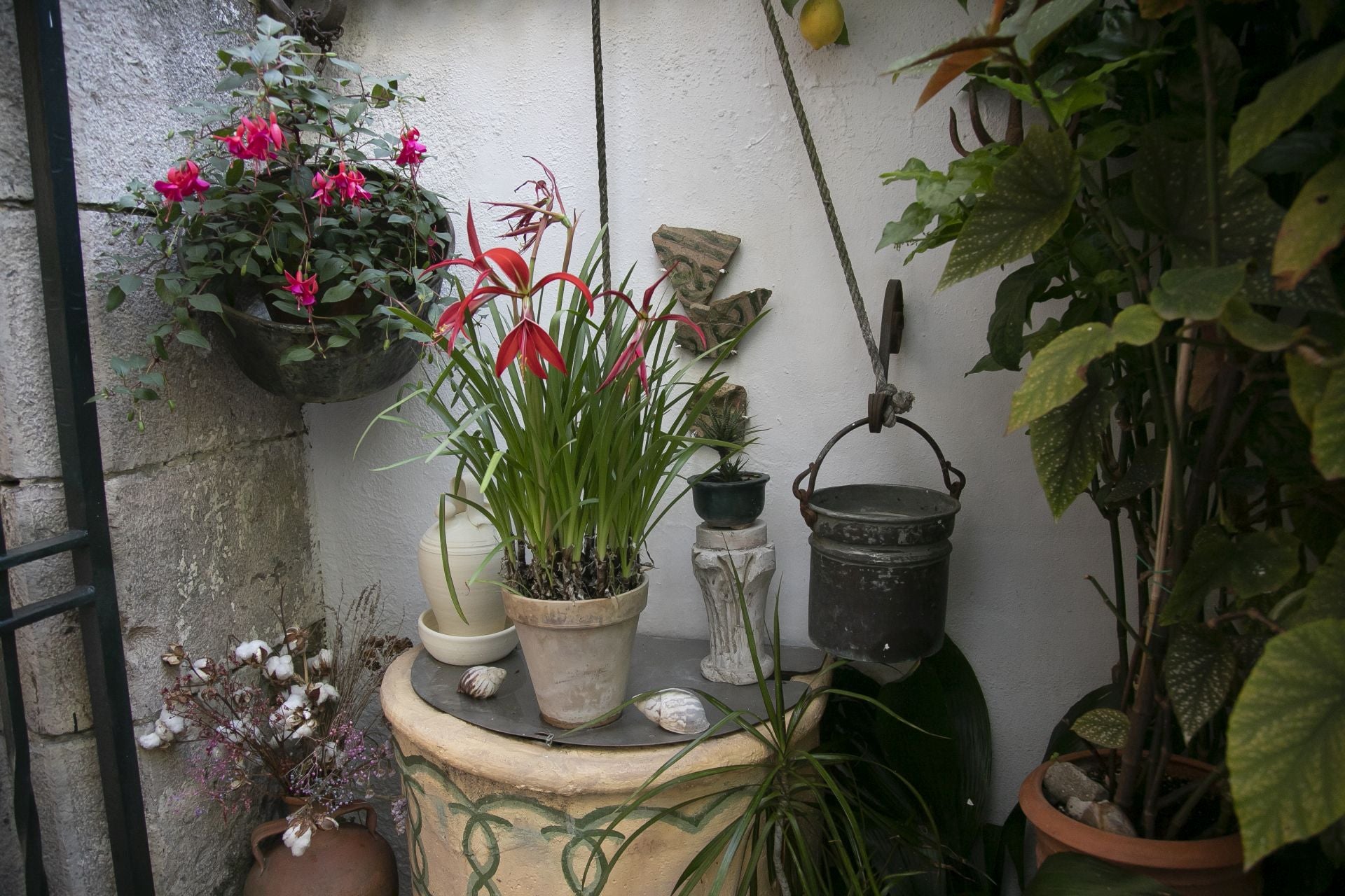 Los detalles más personales de los Patios de Córdoba, en imágenes
