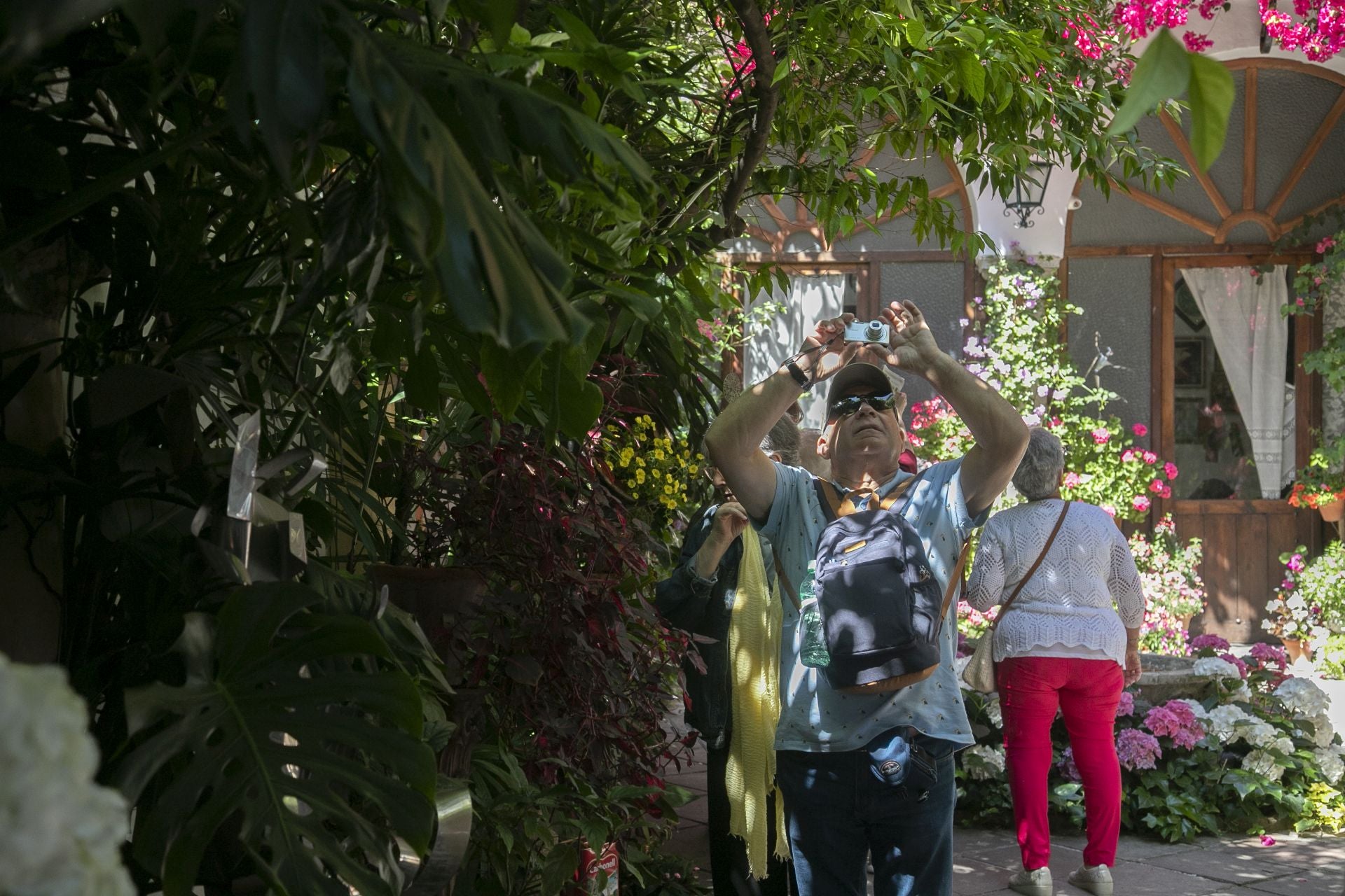 Los detalles más personales de los Patios de Córdoba, en imágenes