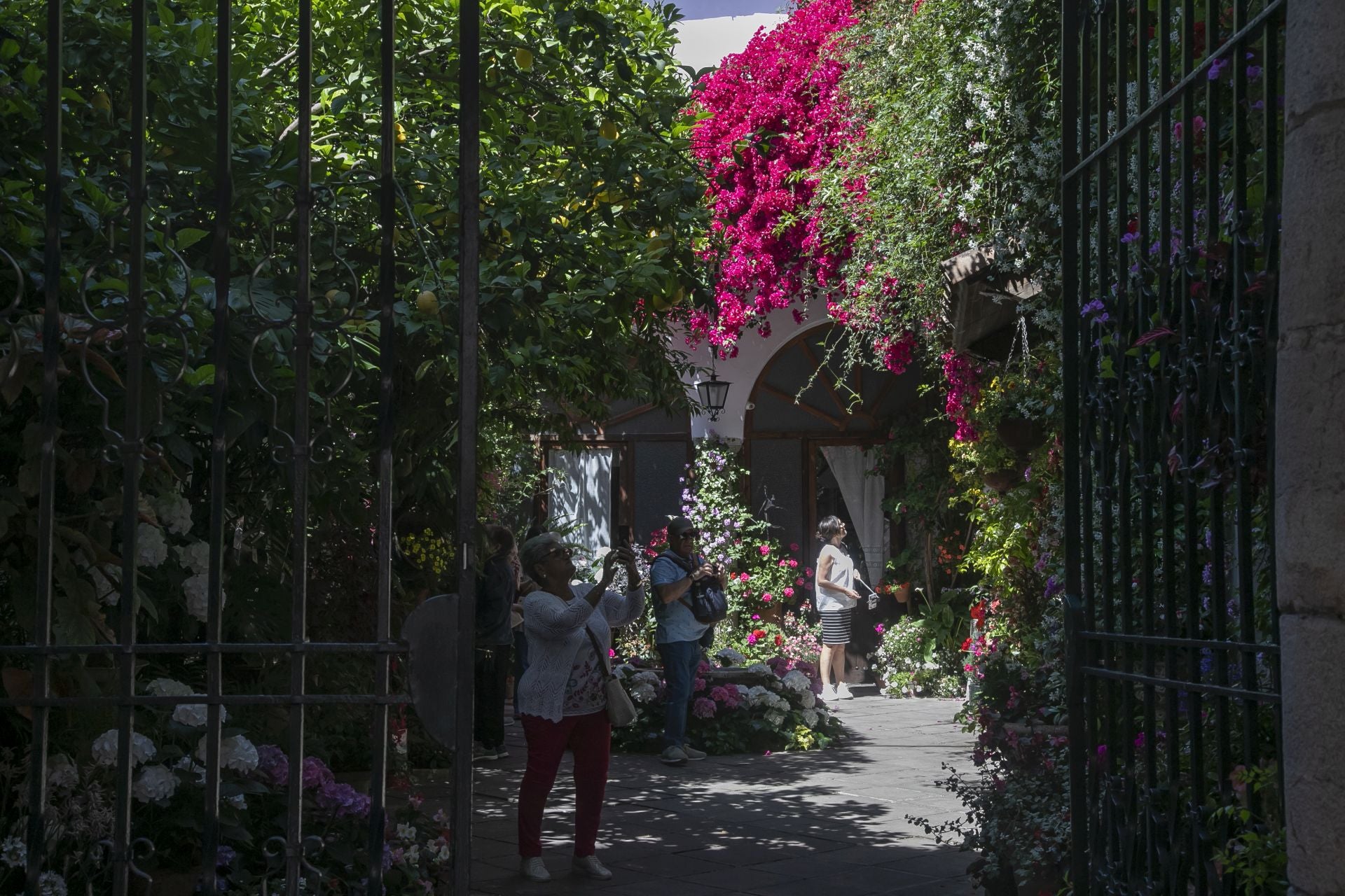 Los detalles más personales de los Patios de Córdoba, en imágenes