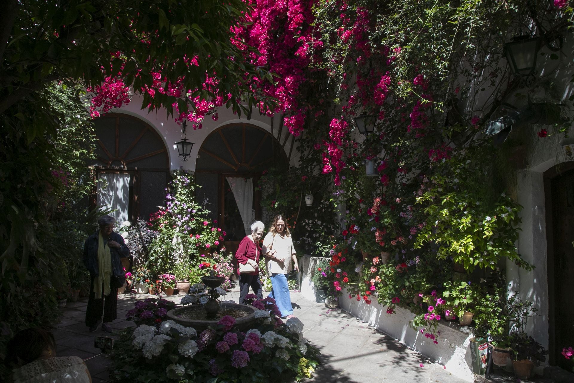 Los detalles más personales de los Patios de Córdoba, en imágenes