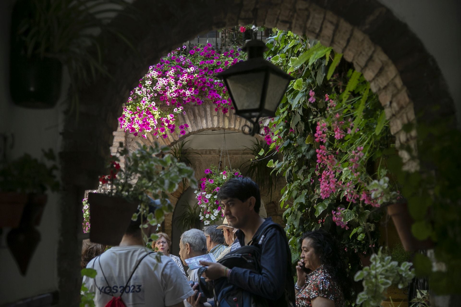 Los detalles más personales de los Patios de Córdoba, en imágenes