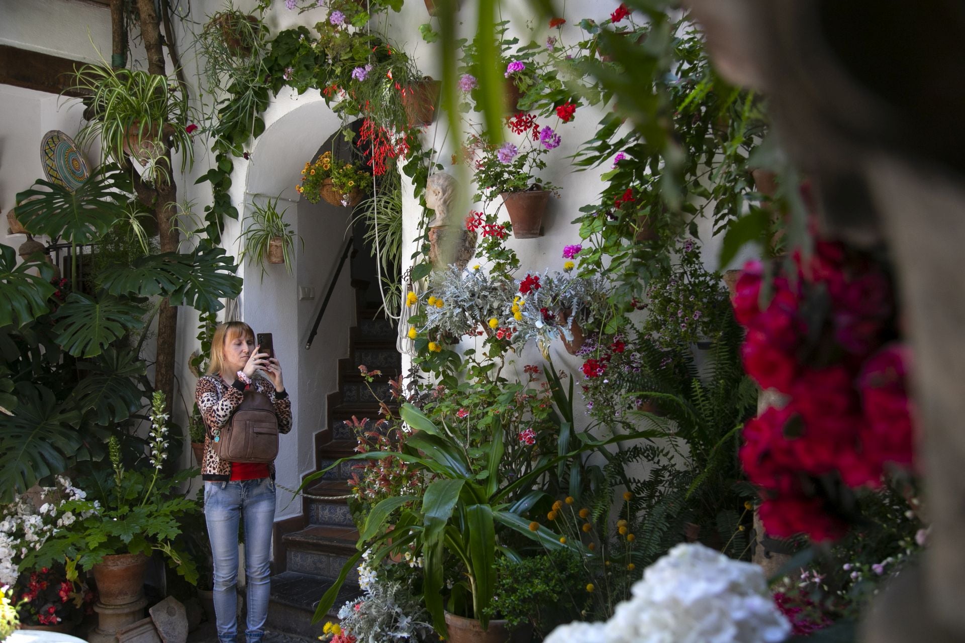 Los detalles más personales de los Patios de Córdoba, en imágenes
