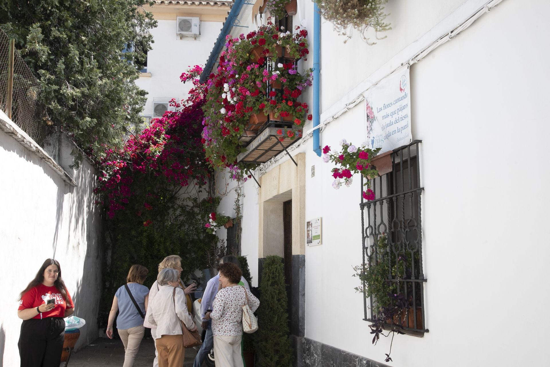 Los detalles más personales de los Patios de Córdoba, en imágenes