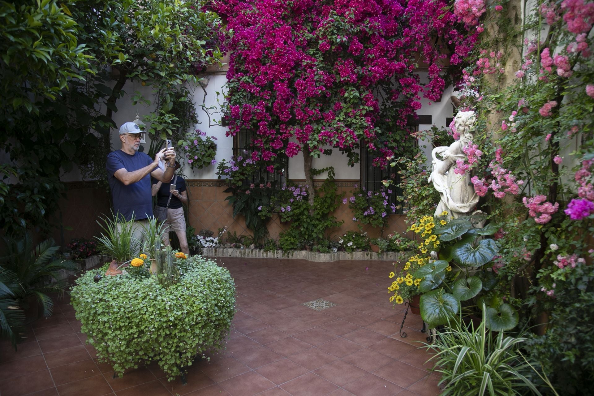 Los detalles más personales de los Patios de Córdoba, en imágenes