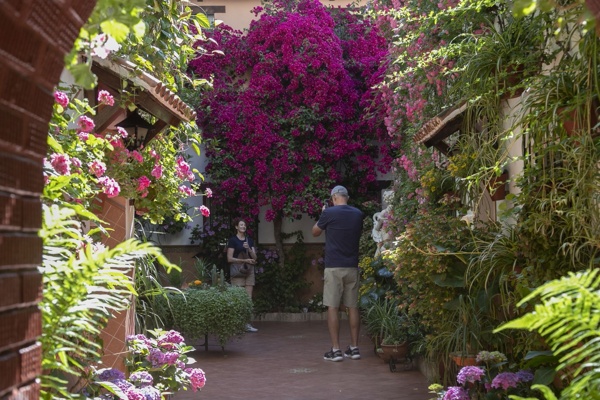 Los detalles más personales de los Patios de Córdoba, en imágenes