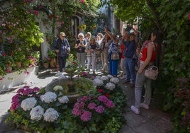 Los detalles más personales de los Patios de Córdoba, en imágenes
