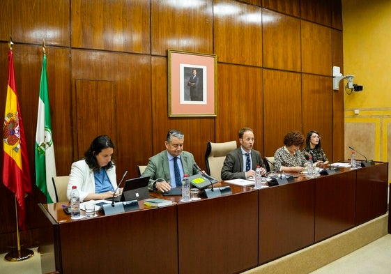 Una imagen de la comisión parlamentaria donde se ha presentado el informe
