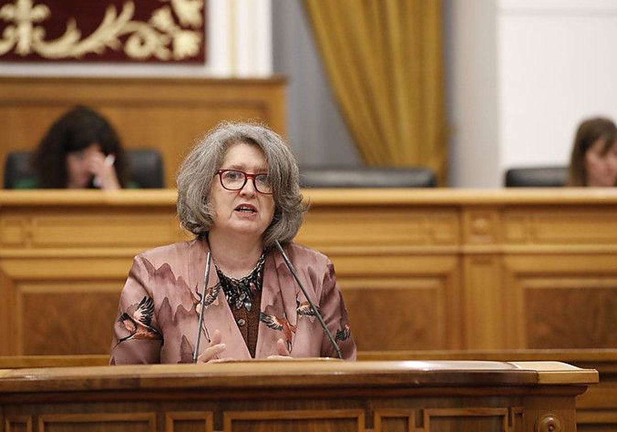 La consejera de Desarrollo Sostenible, Mercedes Gómez durante su intervención en las cortes regionales