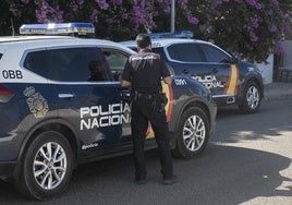 Roba una tarjeta de crédito en Córdoba tras agredir al propietario pero no puede comprar en dos tiendas