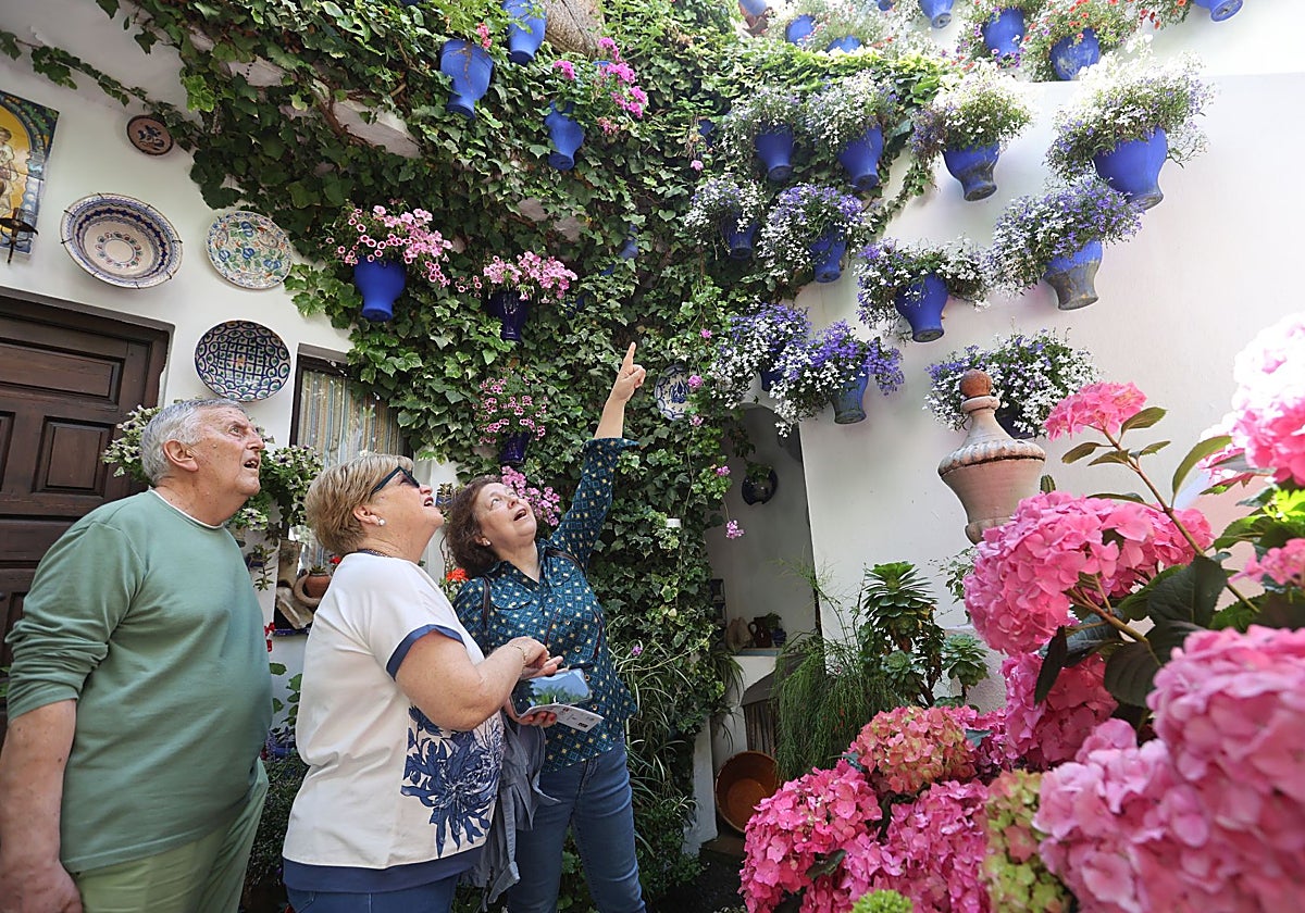 Visitantes en los Patios de Córdoba