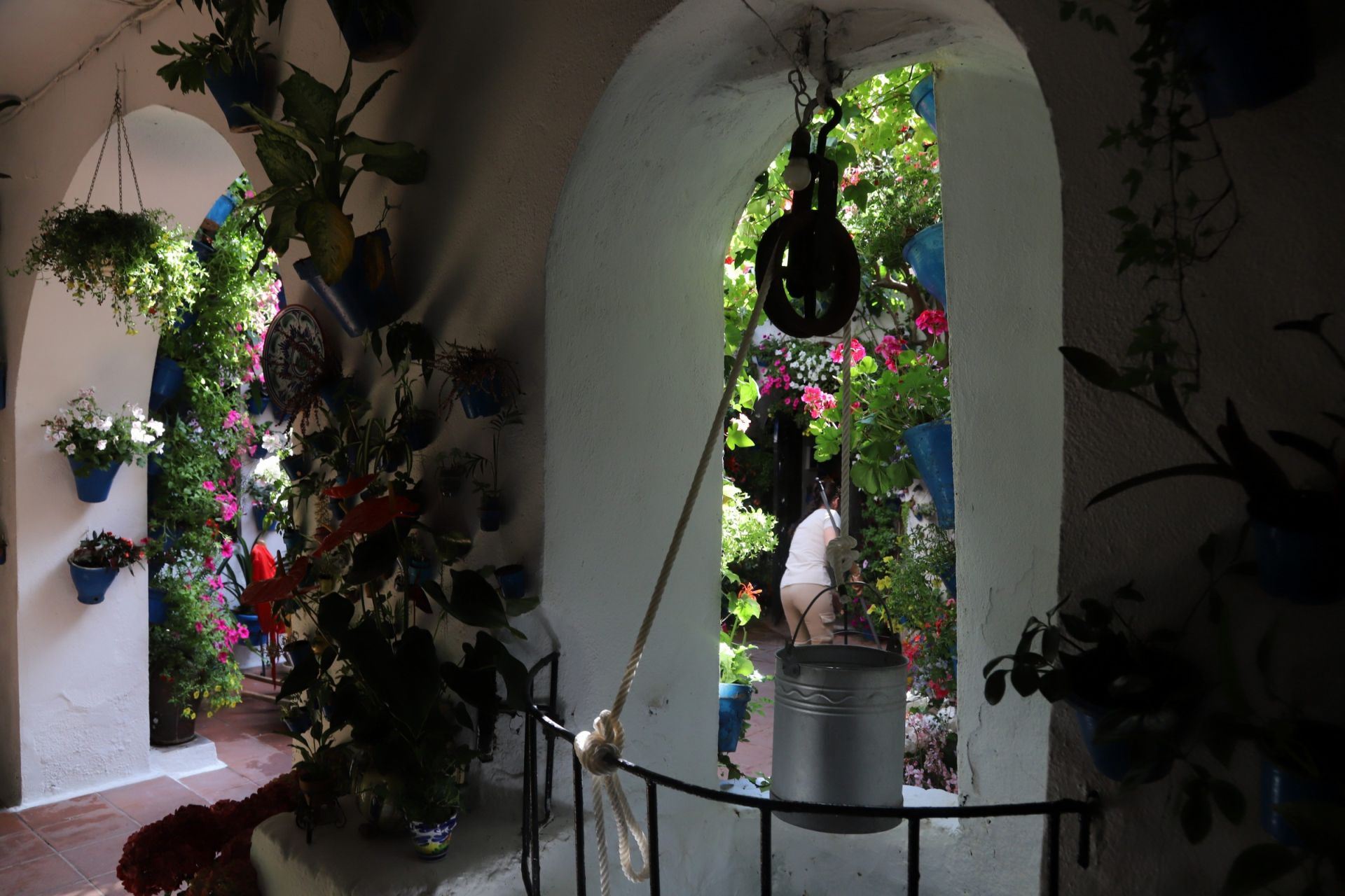 Los Patios de Córdoba ganadores del concurso de 2025, en imágenes