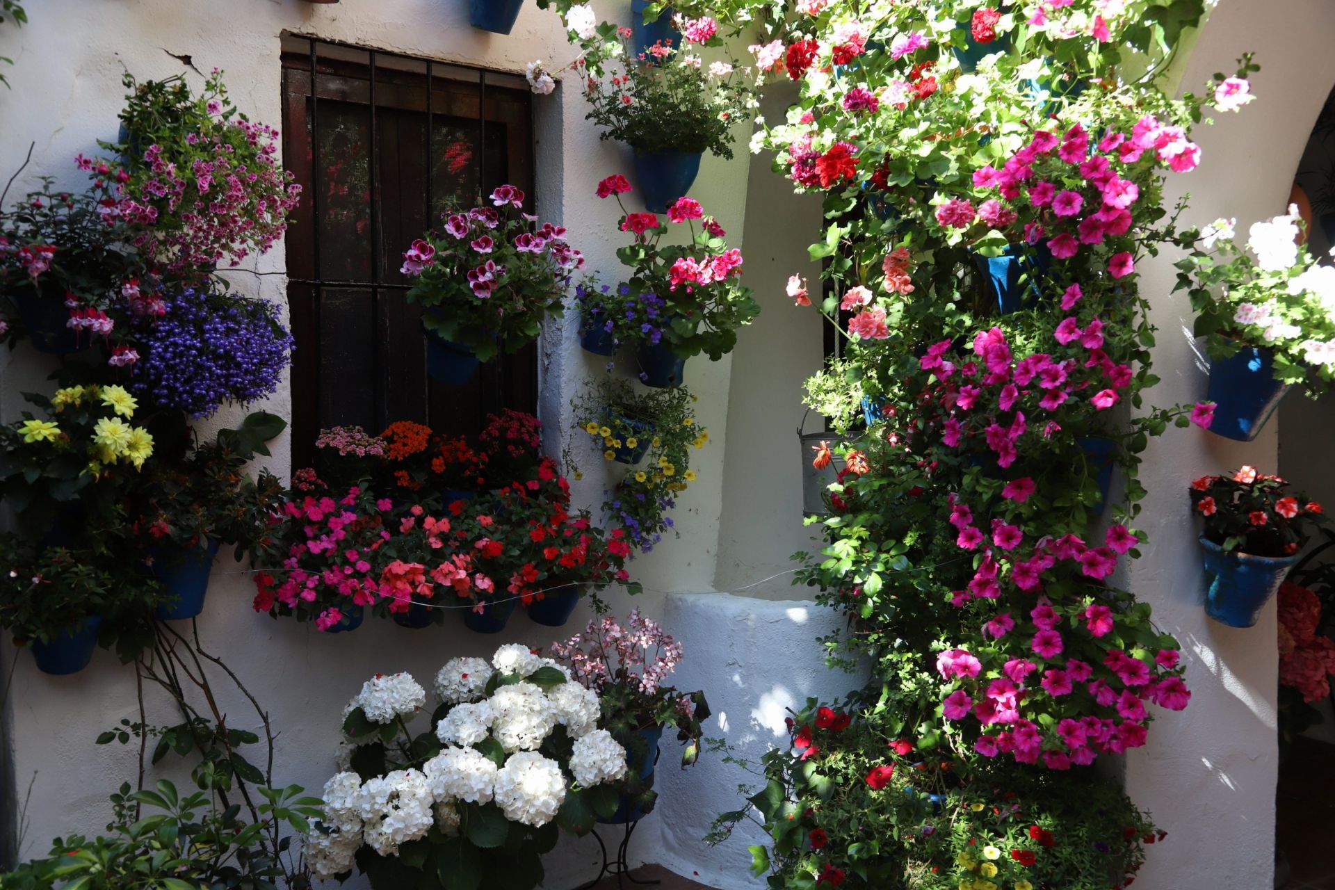 Los Patios de Córdoba ganadores del concurso de 2025, en imágenes