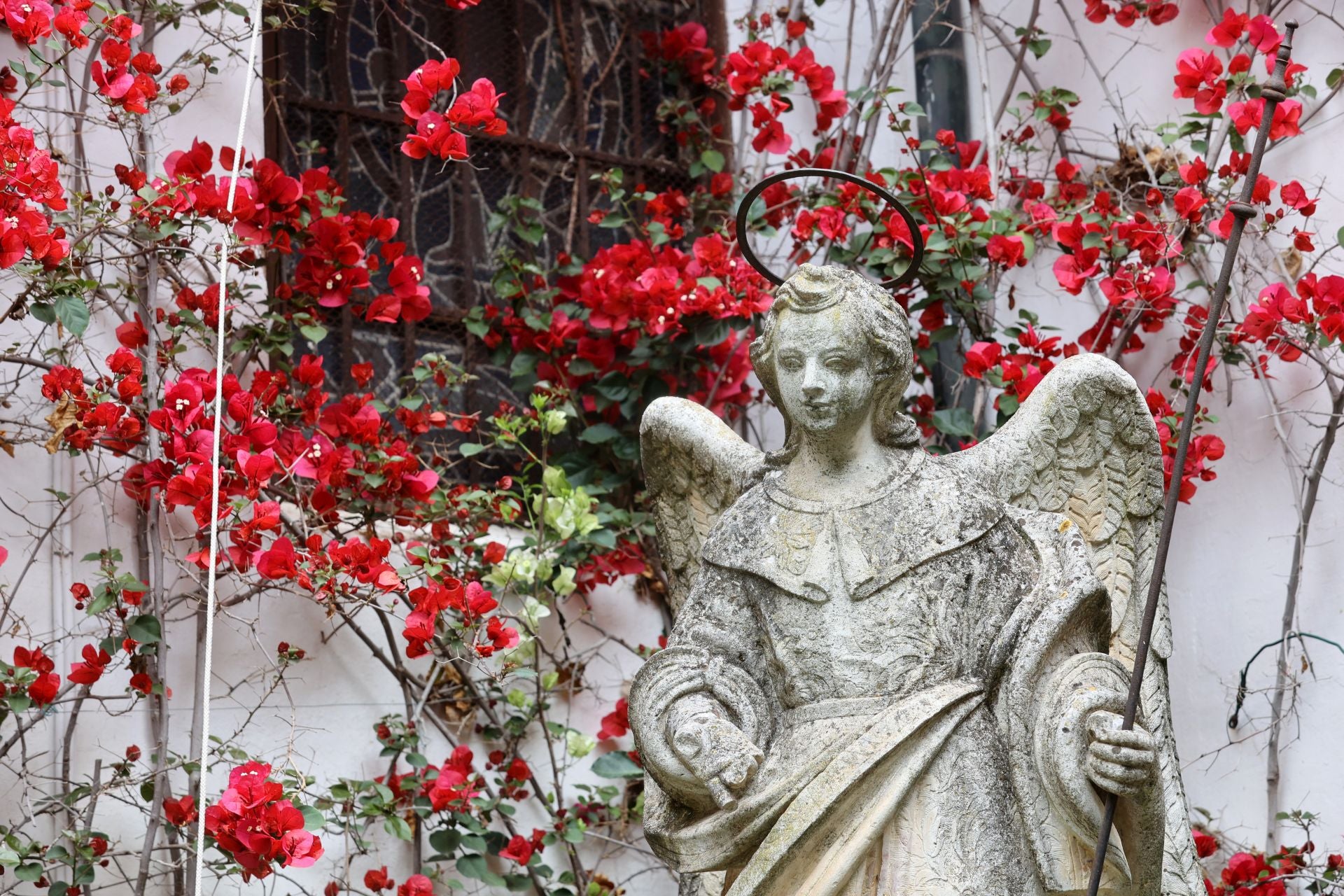 Los Patios de Córdoba ganadores del concurso de 2025, en imágenes