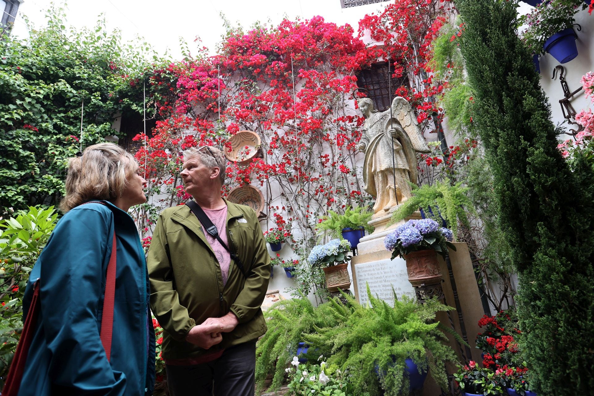 Los Patios de Córdoba ganadores del concurso de 2025, en imágenes