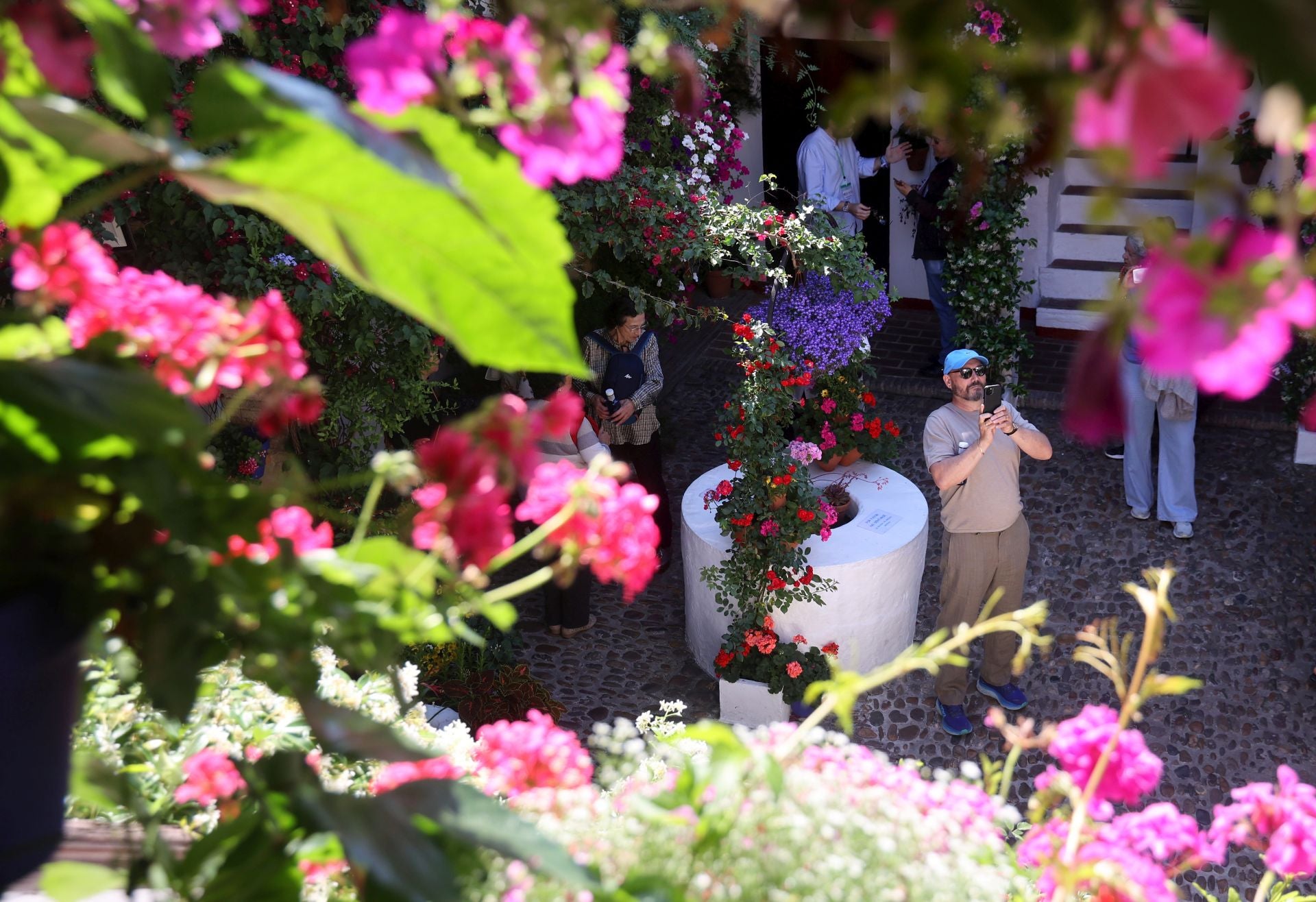 Los Patios de Córdoba ganadores del concurso de 2025, en imágenes