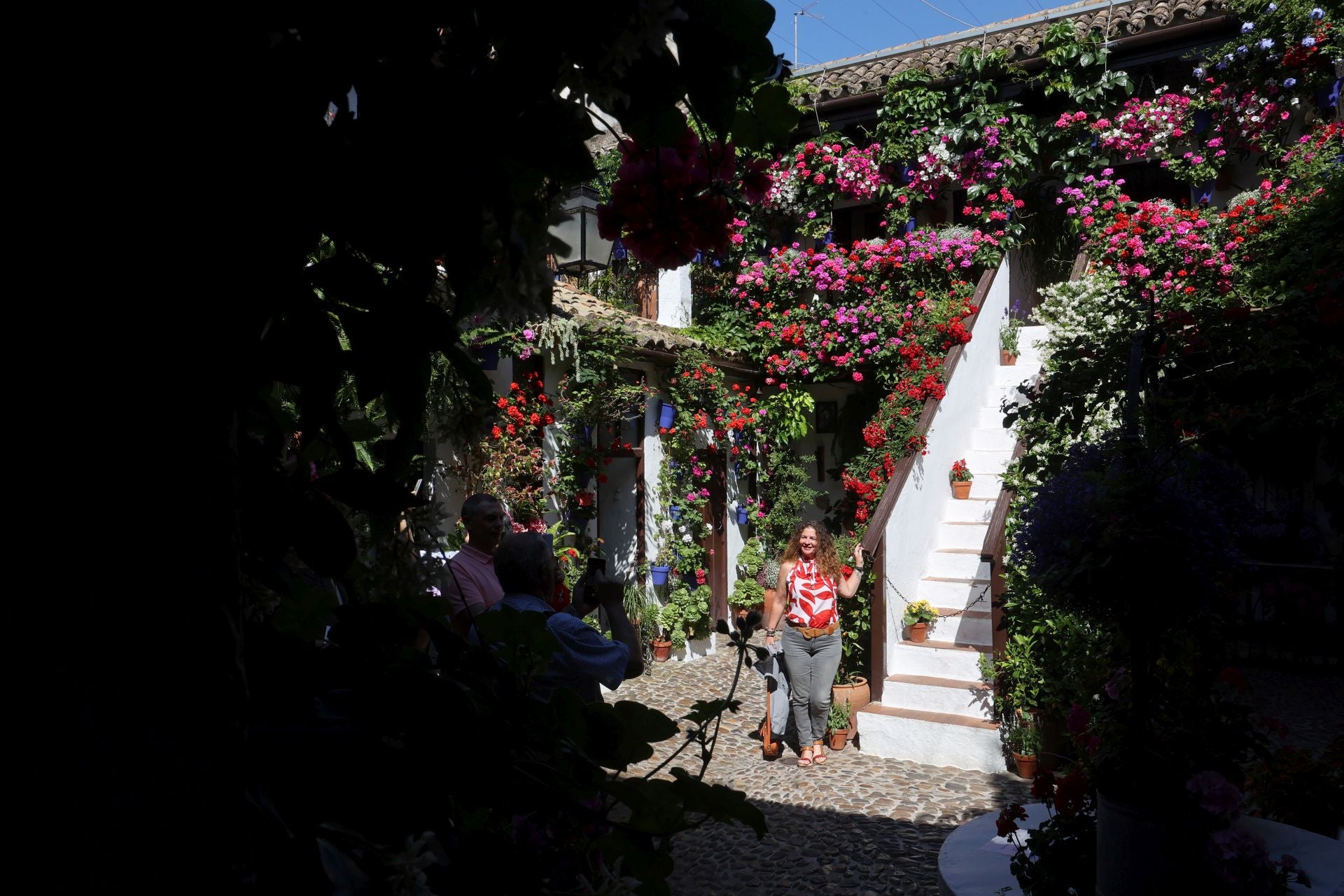 Los Patios de Córdoba ganadores del concurso de 2025, en imágenes