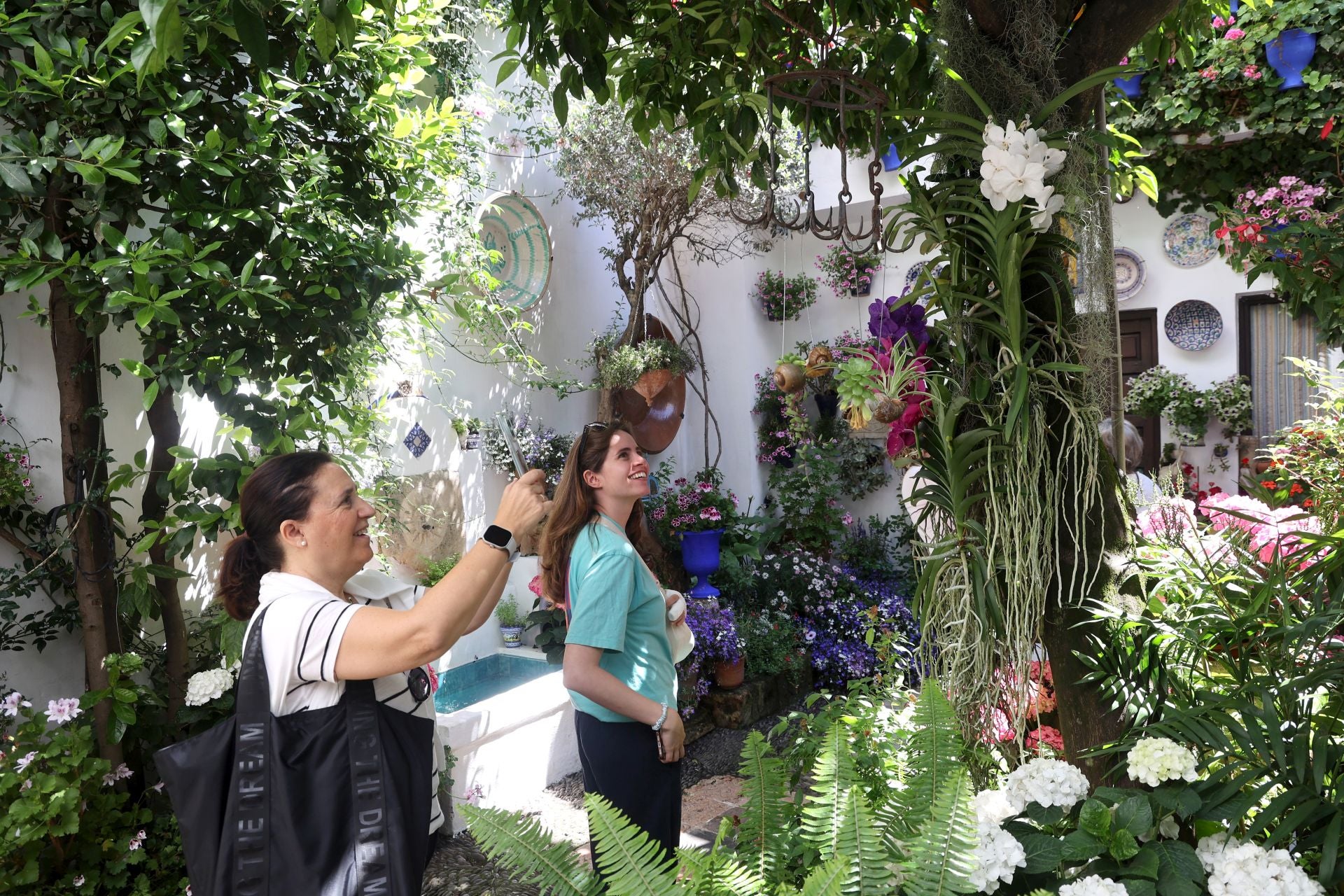 Los Patios de Córdoba ganadores del concurso de 2025, en imágenes