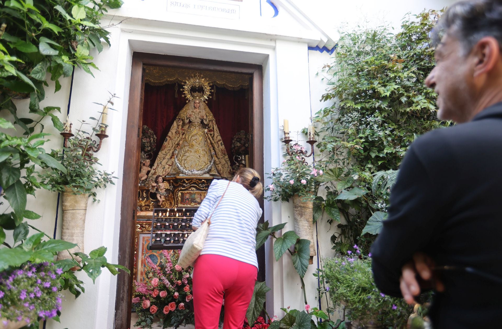 Los Patios de Córdoba ganadores del concurso de 2025, en imágenes