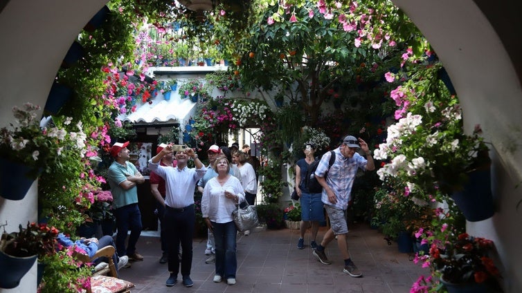 Los Patios de Córdoba ganadores del concurso de 2025, en imágenes