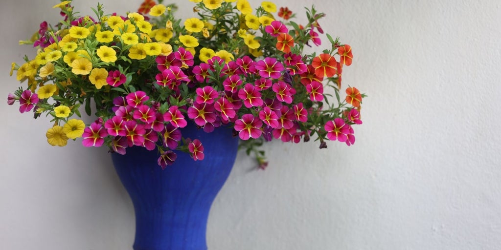 Las macetas con forma de copa o campana: un recuerdo antiguo de los Patios de Córdoba