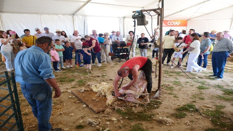 Cientos de personas disfrutan de la Fiesta del Pastoreo de Villaralto