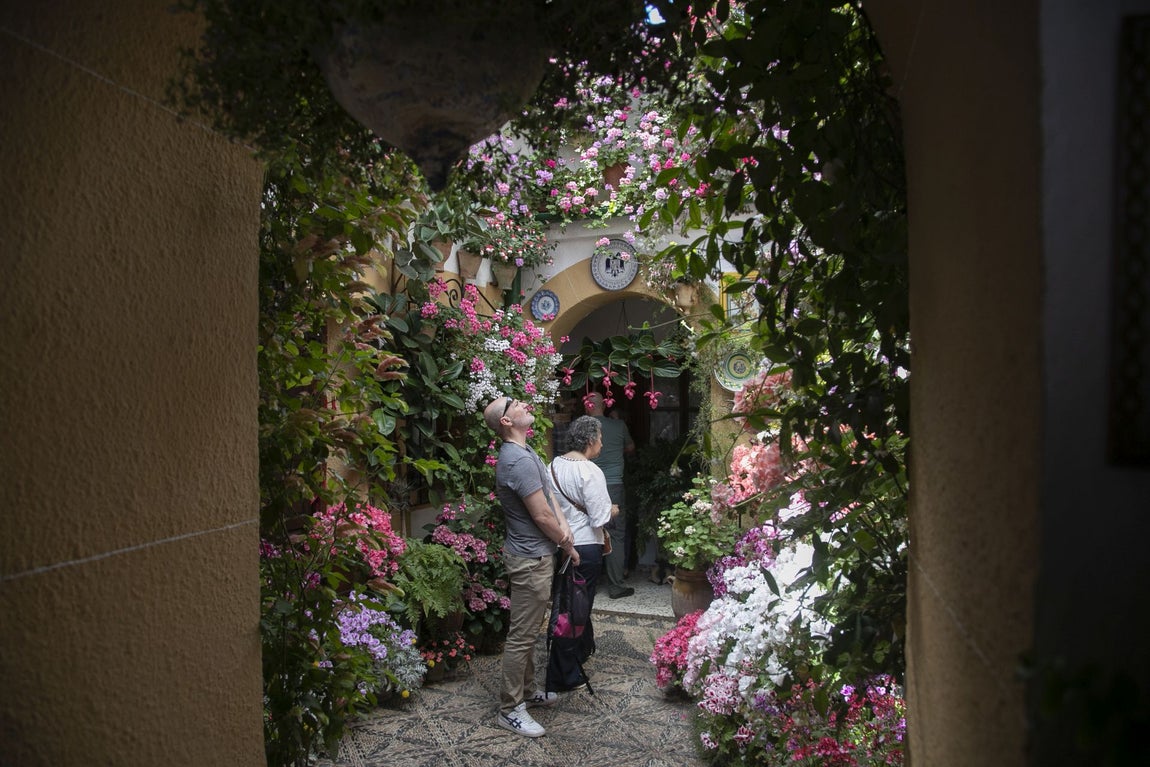 Los espectaculares Patios de Santa Marina y San Lorenzo, en imágenes