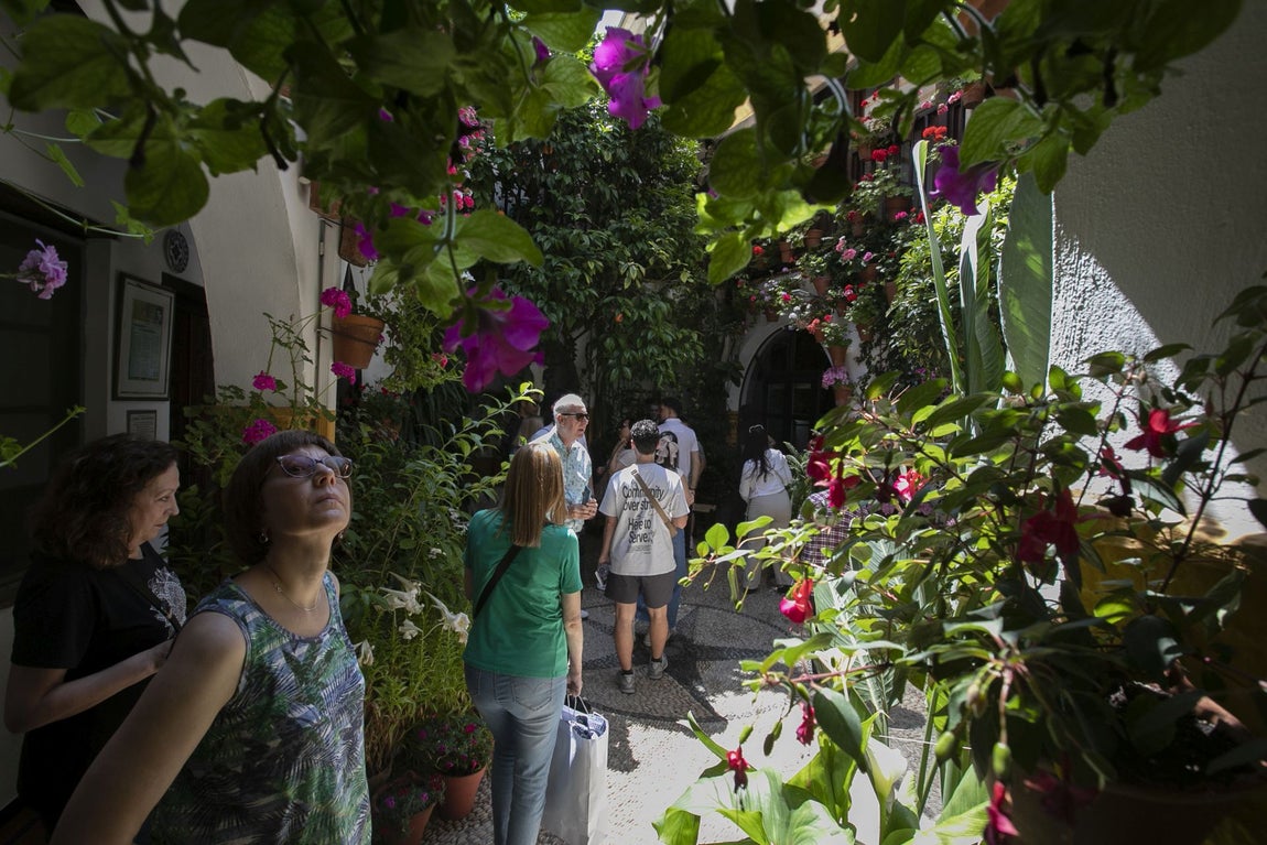 Los espectaculares Patios de Santa Marina y San Lorenzo, en imágenes