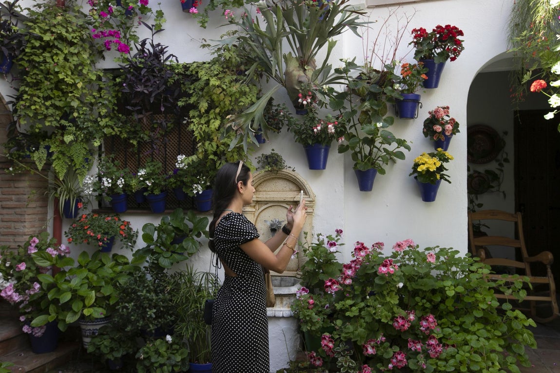 Los espectaculares Patios de Santa Marina y San Lorenzo, en imágenes