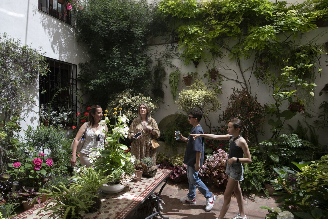Los espectaculares Patios de Santa Marina y San Lorenzo, en imágenes