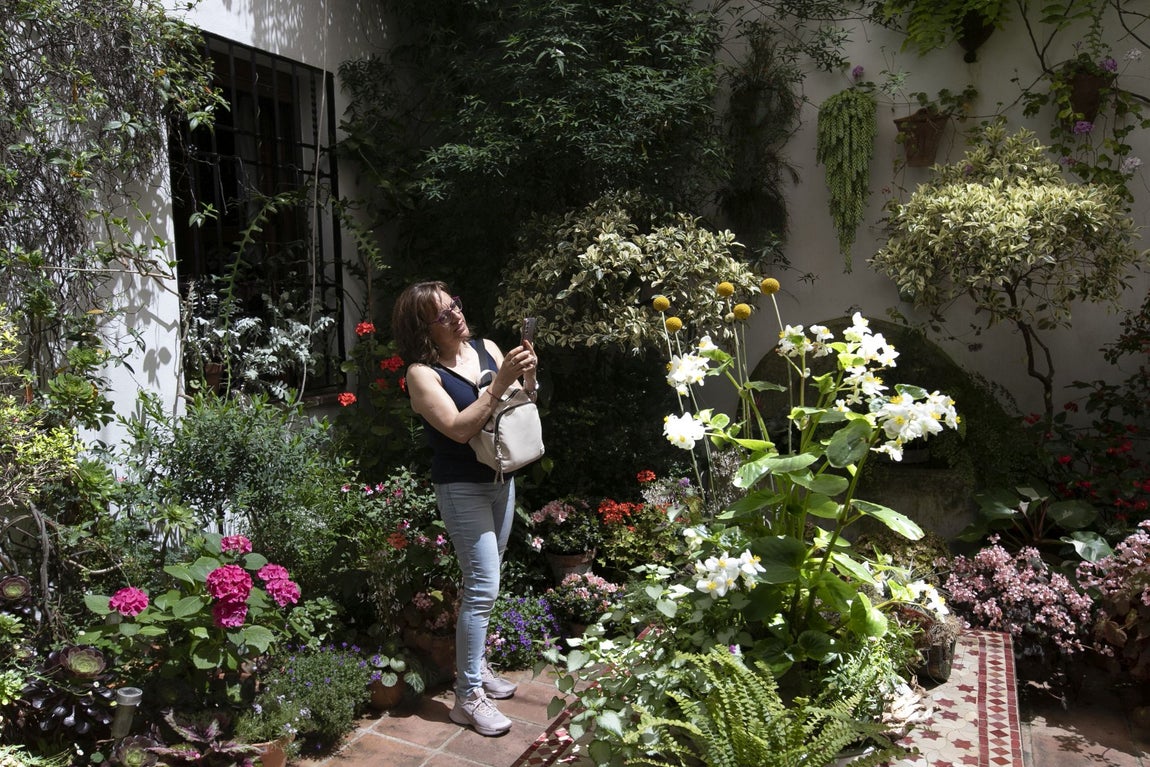 Los espectaculares Patios de Santa Marina y San Lorenzo, en imágenes
