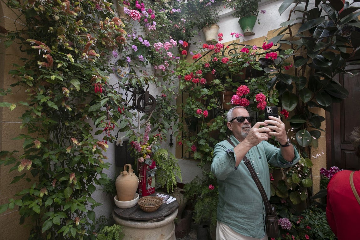 Los espectaculares Patios de Santa Marina y San Lorenzo, en imágenes