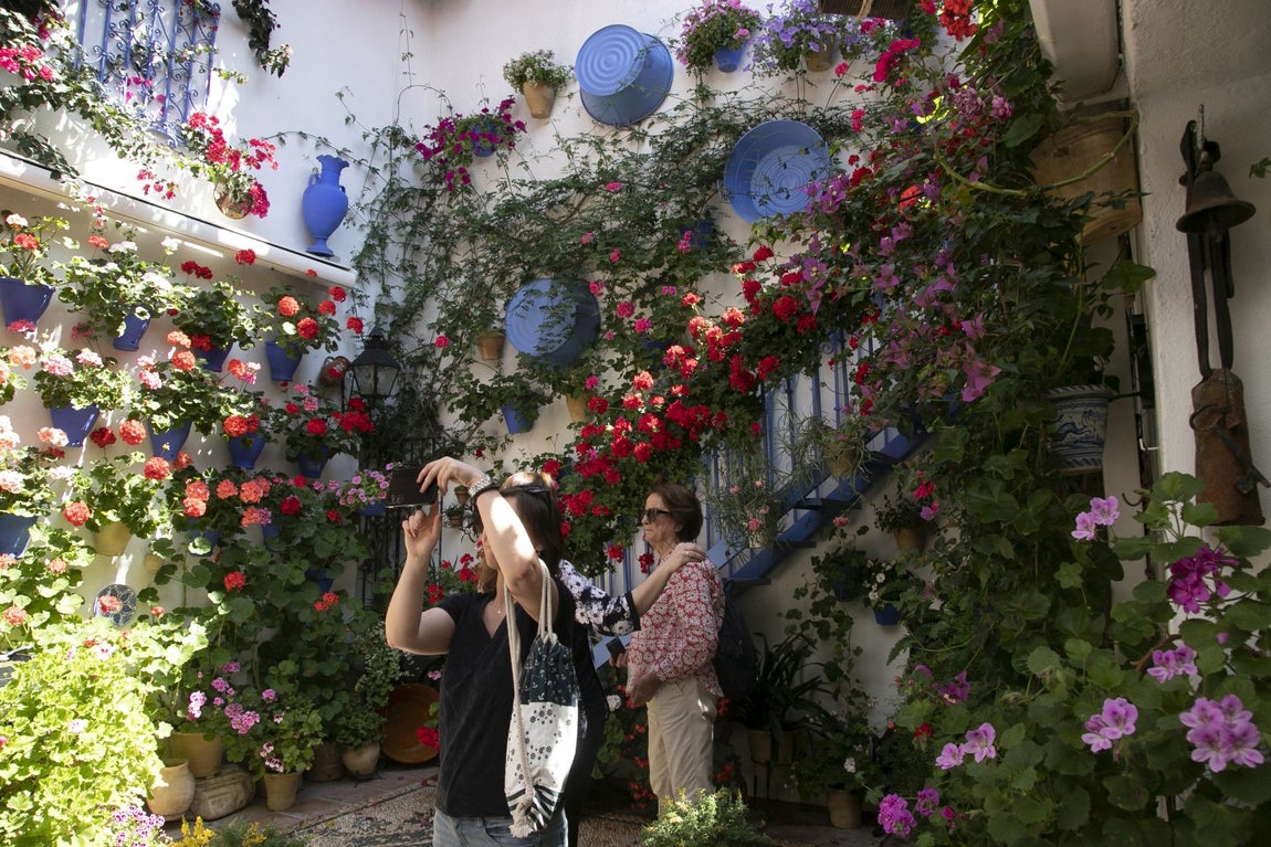 Los espectaculares Patios de Santa Marina y San Lorenzo, en imágenes