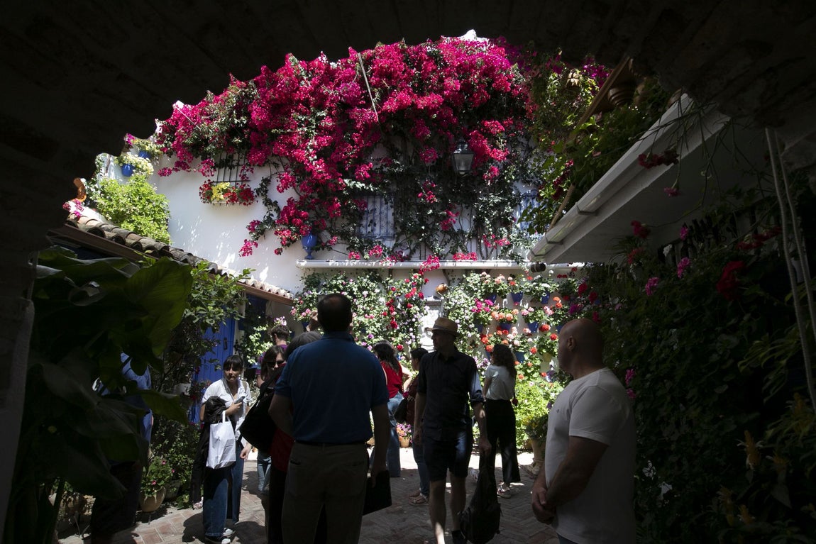 Los espectaculares Patios de Santa Marina y San Lorenzo, en imágenes