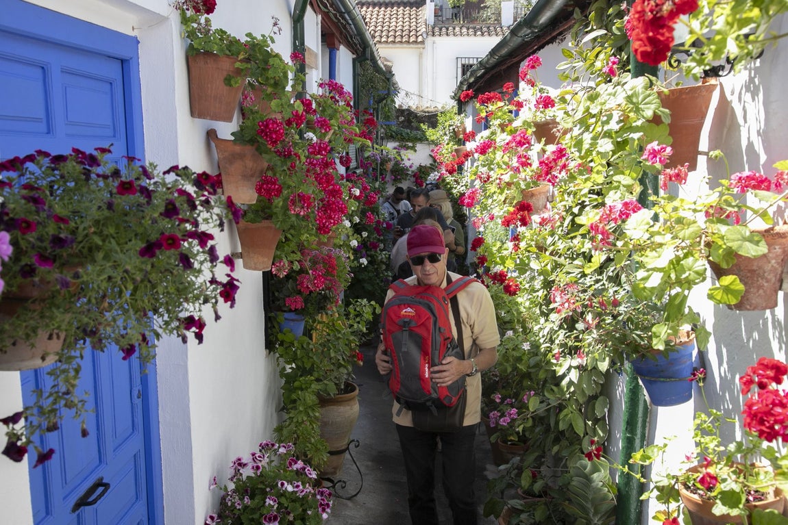 Los espectaculares Patios de Santa Marina y San Lorenzo, en imágenes