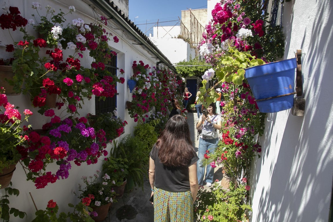Los espectaculares Patios de Santa Marina y San Lorenzo, en imágenes