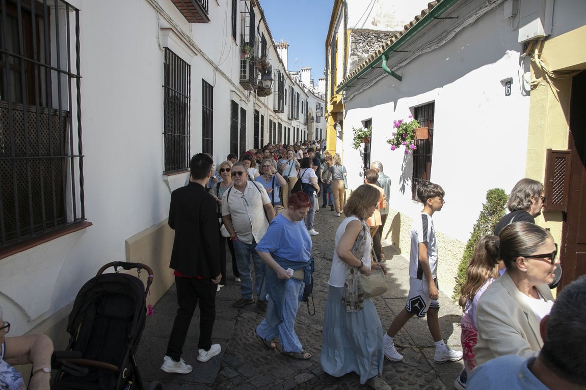 Los espectaculares Patios de Santa Marina y San Lorenzo, en imágenes