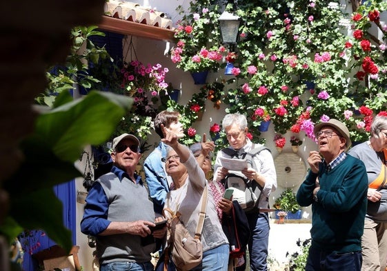 Un grupo de turistas visitantes de uno de los patios de la calle Guzmanas esta semana