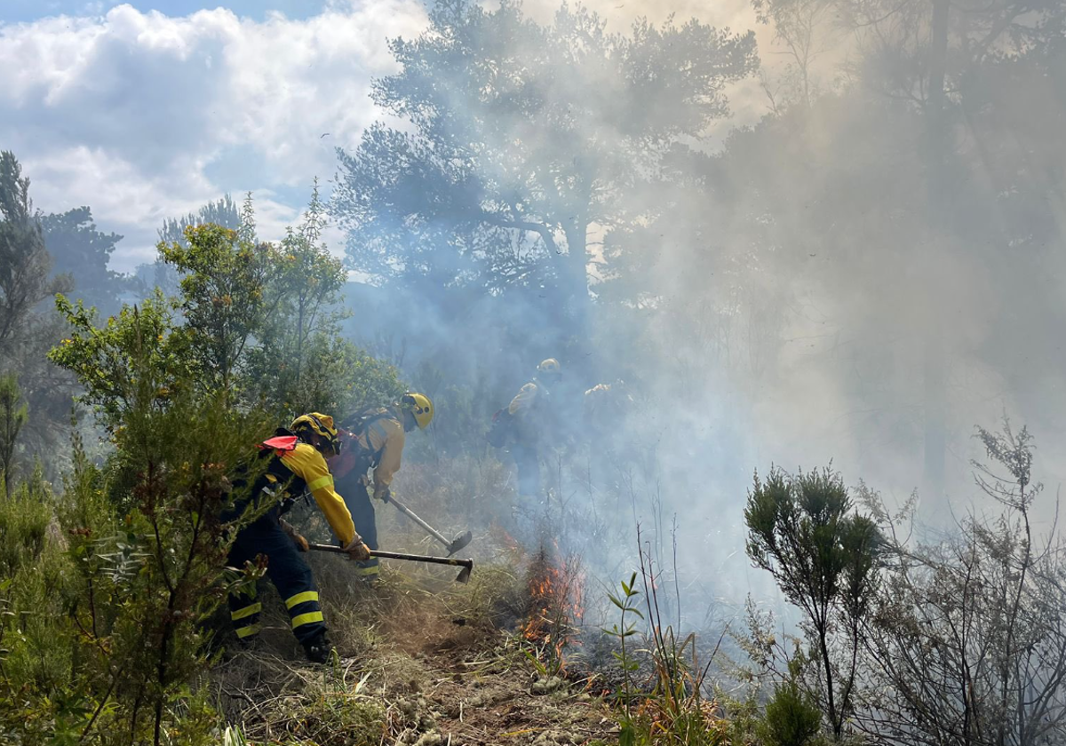 Efectivos intervienen en el incendio declarado en Guía