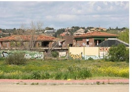 Marisol Illescas pide a la Junta una «vivienda digna» para las familias desalojadas de La Peraleda