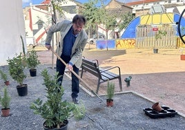 El Ayuntamiento de Córdoba acelera la plantación de árboles y otros vegetales en el Cine Andalucía