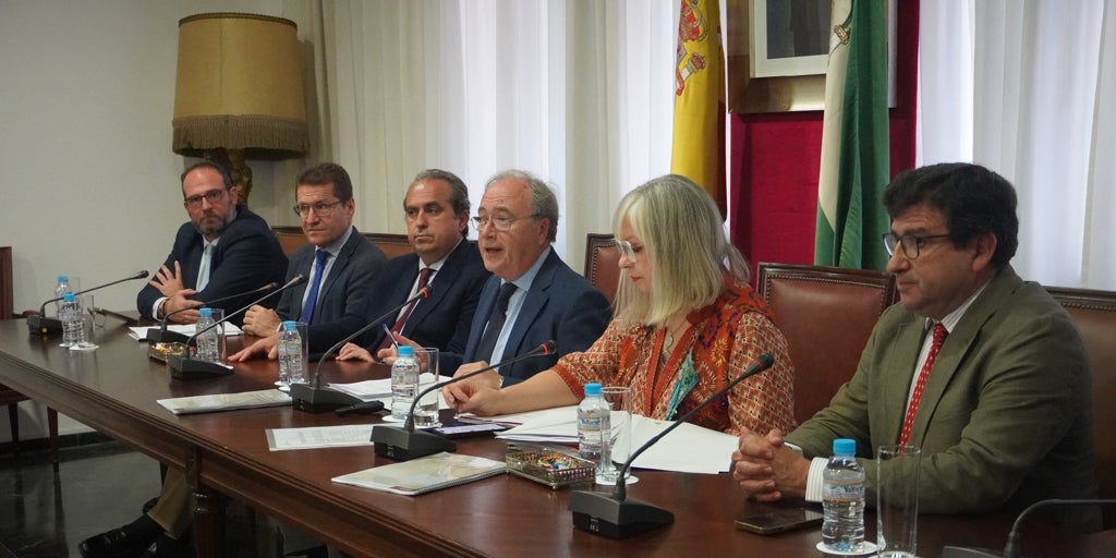 La cámara de comercio exige más potencia eléctrica para el norte de córdoba