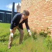 CSIC y Gobierno de Aragón reintroducen una planta desaparecida y única en España alrededor de San Juan de la Peña