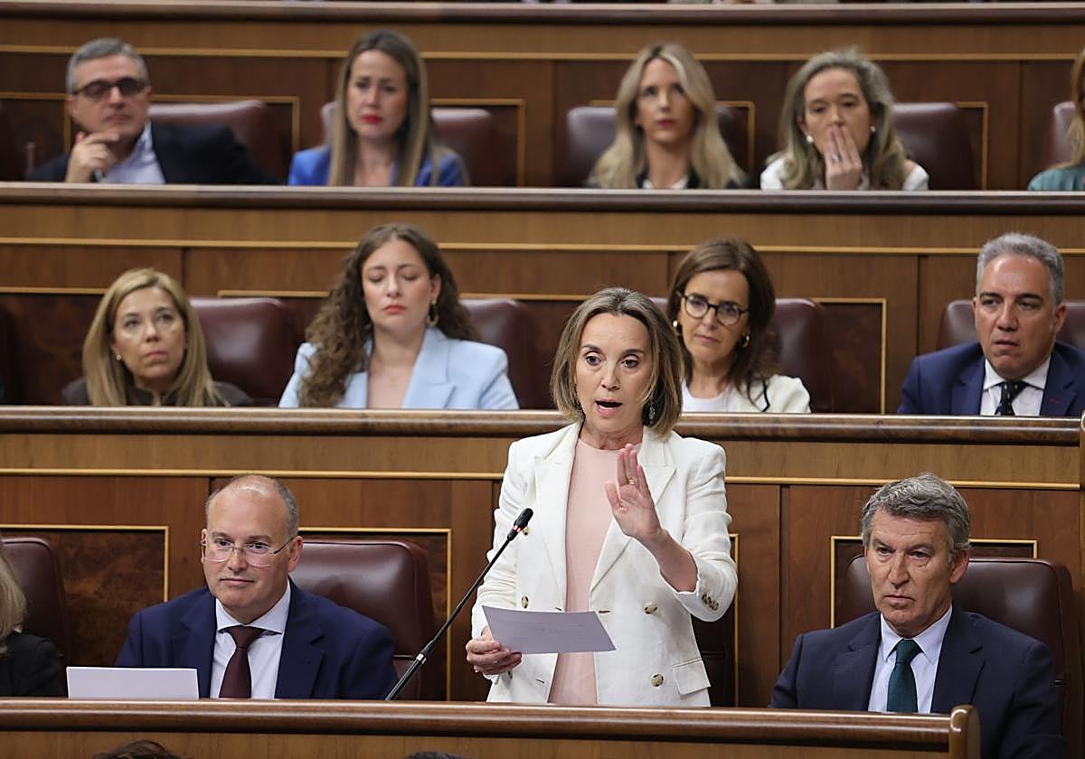Cuca Gamarra junto a Alberto Núñez Feijóo este miércoles en el Congreso