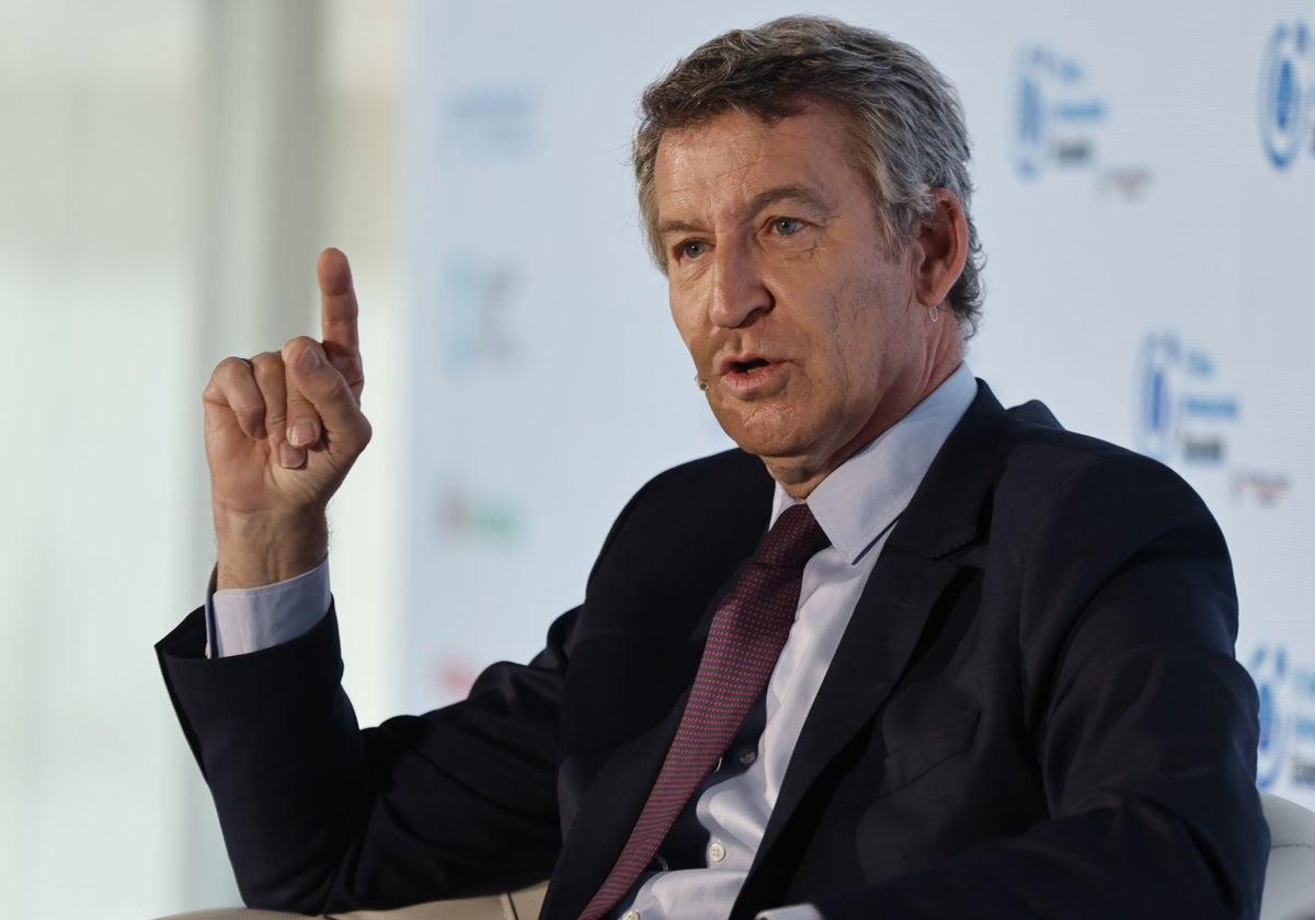 El líder del PP, Alberto Núñez Feijóo.