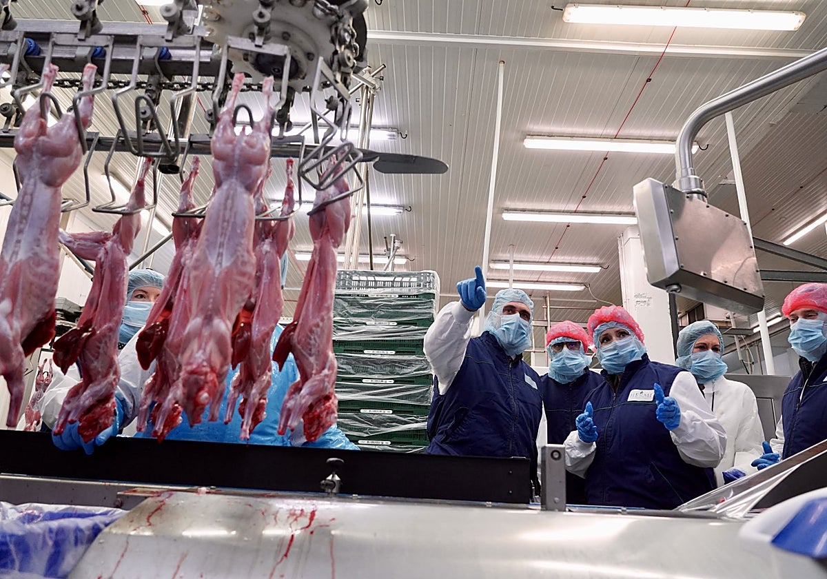 La consejera de Industria, este viernes en las instalaciones de Hermi