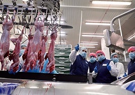 Las ayudas para incluir tecnologías avanzadas en las pymes primarán la incorporación de IA